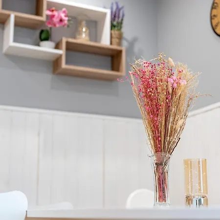 Apartamenty Defala I Strefa Relaksu Natural Touch Rymanow-Zdroj Exterior photo